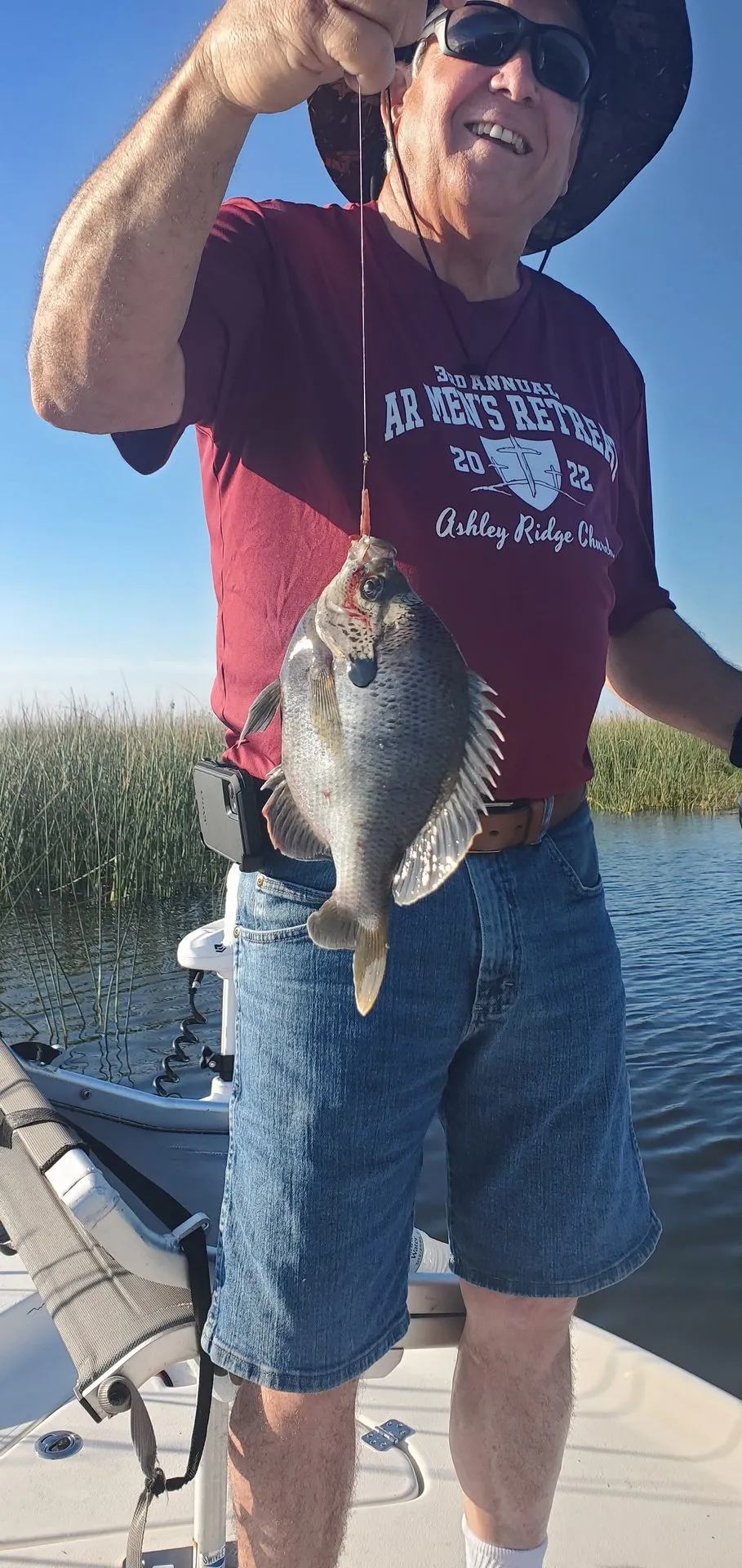A shellcracker off the summer beds
