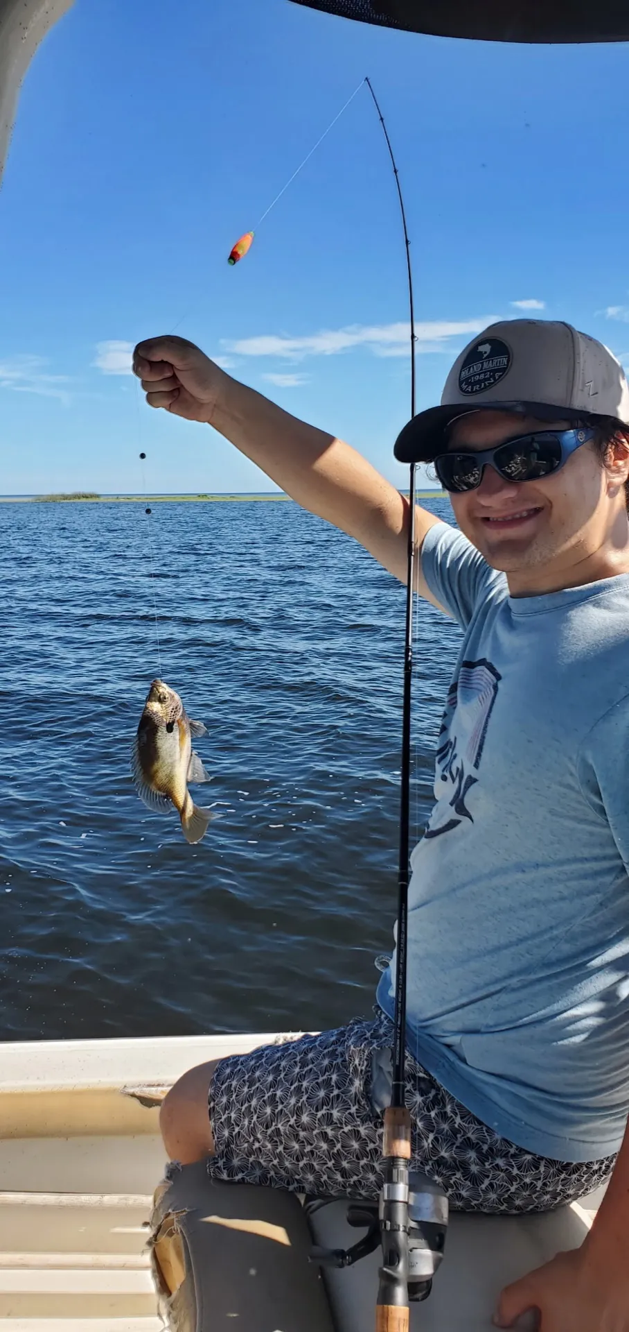 Bluegill coming over the rail