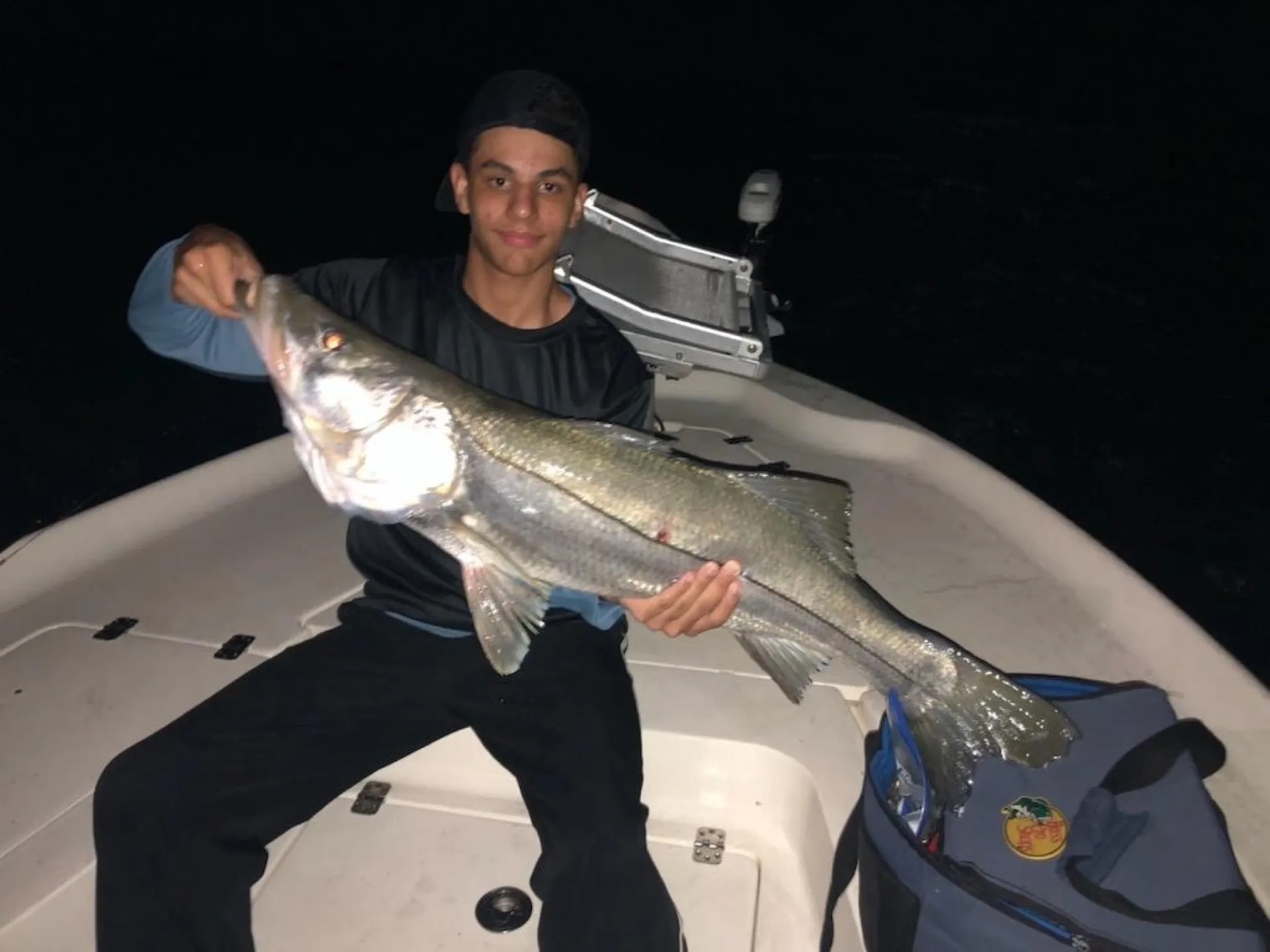 Night snook on the dock lights